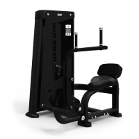 Пресс/спина BRONZE GYM NEO 85